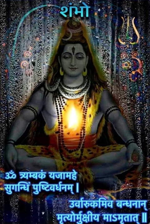 pandit booking service